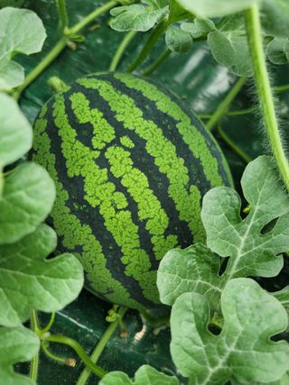 한미님의 자유주제 · 자유게시판 작성글 사진