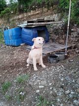 팜모닝 우리동네·동네수다 게시글 이미지