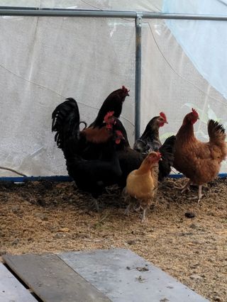 이숲농원님의 우리동네 · 동네수다 작성글 사진