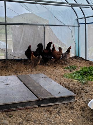 이숲농원님의 우리동네 · 동네수다 작성글 사진