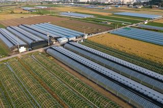 안덕환님의 우리동네 · 동네정보 작성글 사진