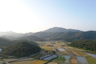 안덕환님의 우리동네 · 동네정보 작성글 사진