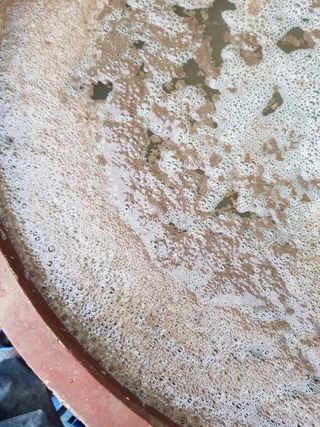 암초님의 고추 · 비료•농약 작성글 사진