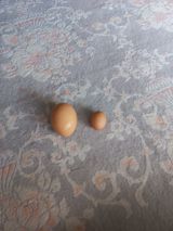 팜모닝 자유주제·사진전 게시글 이미지