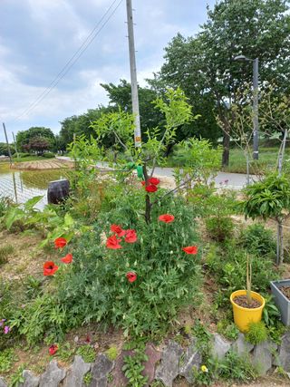 호박16023님의 자유주제 · 사진전 작성글 사진