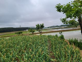 커피나무님의 자유주제 · 사진전 작성글 사진