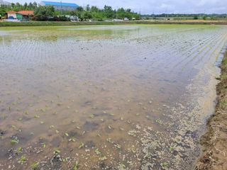 커피나무님의 자유주제 · 사진전 작성글 사진
