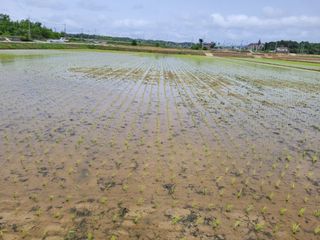 커피나무님의 자유주제 · 사진전 작성글 사진