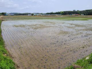 커피나무님의 자유주제 · 사진전 작성글 사진
