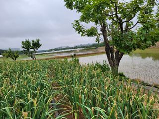 커피나무님의 자유주제 · 사진전 작성글 사진