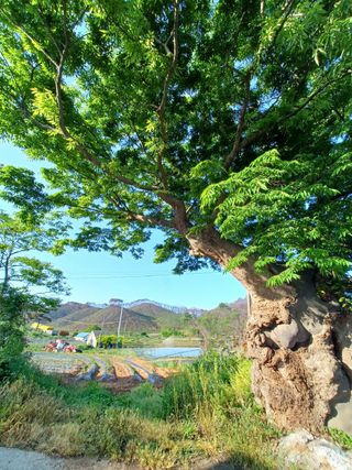 초희스키님의 자유주제 · 사진전 작성글 사진