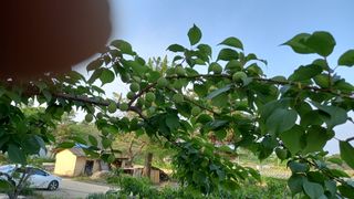 전만근님의 사과 · 일상 작성글 사진