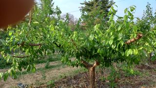 전만근님의 사과 · 일상 작성글 사진