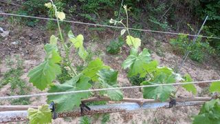 전만근님의 사과 · 일상 작성글 사진