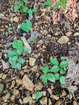 팜모닝 자유주제·사진전 게시글 이미지