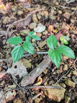 만능이되고픈농부님의 자유주제 · 사진전 작성글 사진