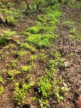 만능이되고픈농부님의 자유주제 · 사진전 작성글 사진