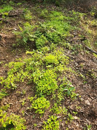 만능이되고픈농부님의 자유주제 · 사진전 작성글 사진