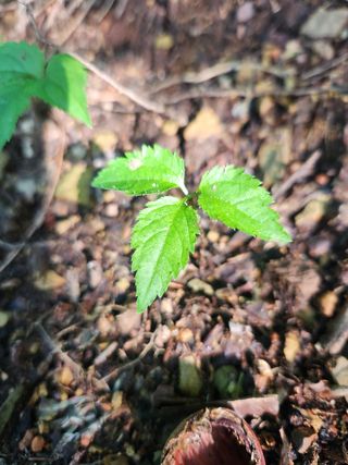 만능이되고픈농부님의 자유주제 · 사진전 작성글 사진