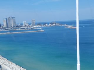 초보농군님의 자유주제 · 사진전 작성글 사진