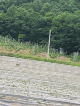 팜모닝 자유주제·자유게시판 게시글 이미지