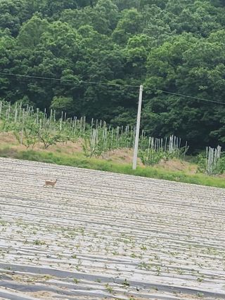 그린뉴딜님의 자유주제 · 자유게시판 작성글 사진