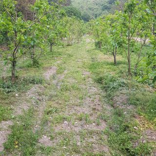 백용기님의 자유주제·자유게시판 작성글 사진