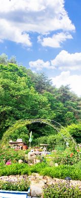 팜모닝 자유주제·자유게시판 게시글 이미지