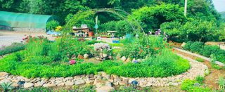 약초를사랑한짱아줌마님의 자유주제 · 자유게시판 작성글 사진