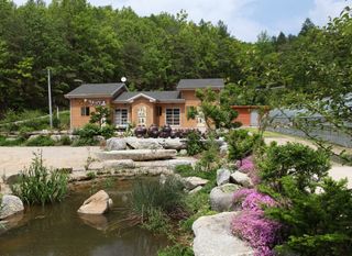 약초를사랑한짱아줌마님의 자유주제 · 자유게시판 작성글 사진