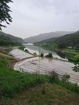 팜모닝 자유주제·자유게시판 게시글 이미지