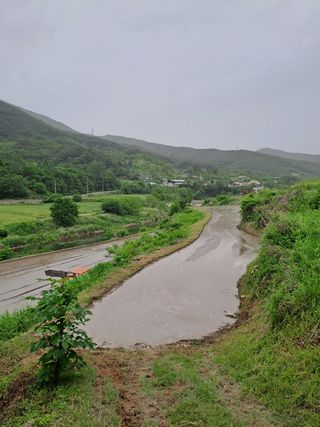 울금박사[빈덕열]님의 자유주제 · 자유게시판 작성글 사진