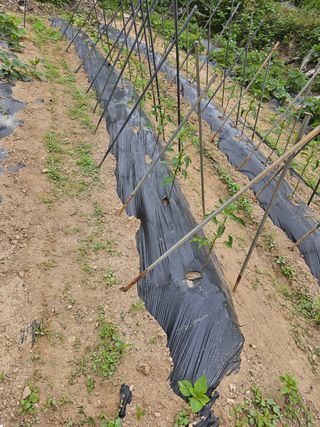 심경자님의 자유주제 · 자유게시판 작성글 사진