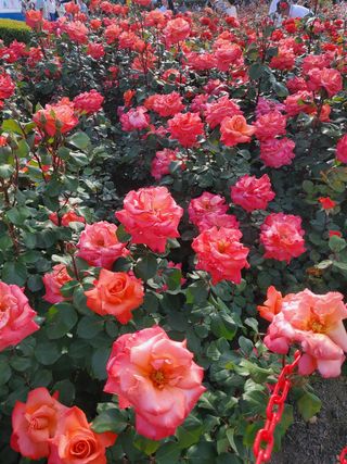 서정훈 님의 자유주제 · 자유게시판 작성글 사진