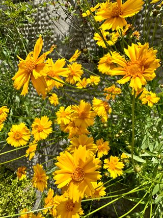 김나리님의 자유주제 · 자유게시판 작성글 사진