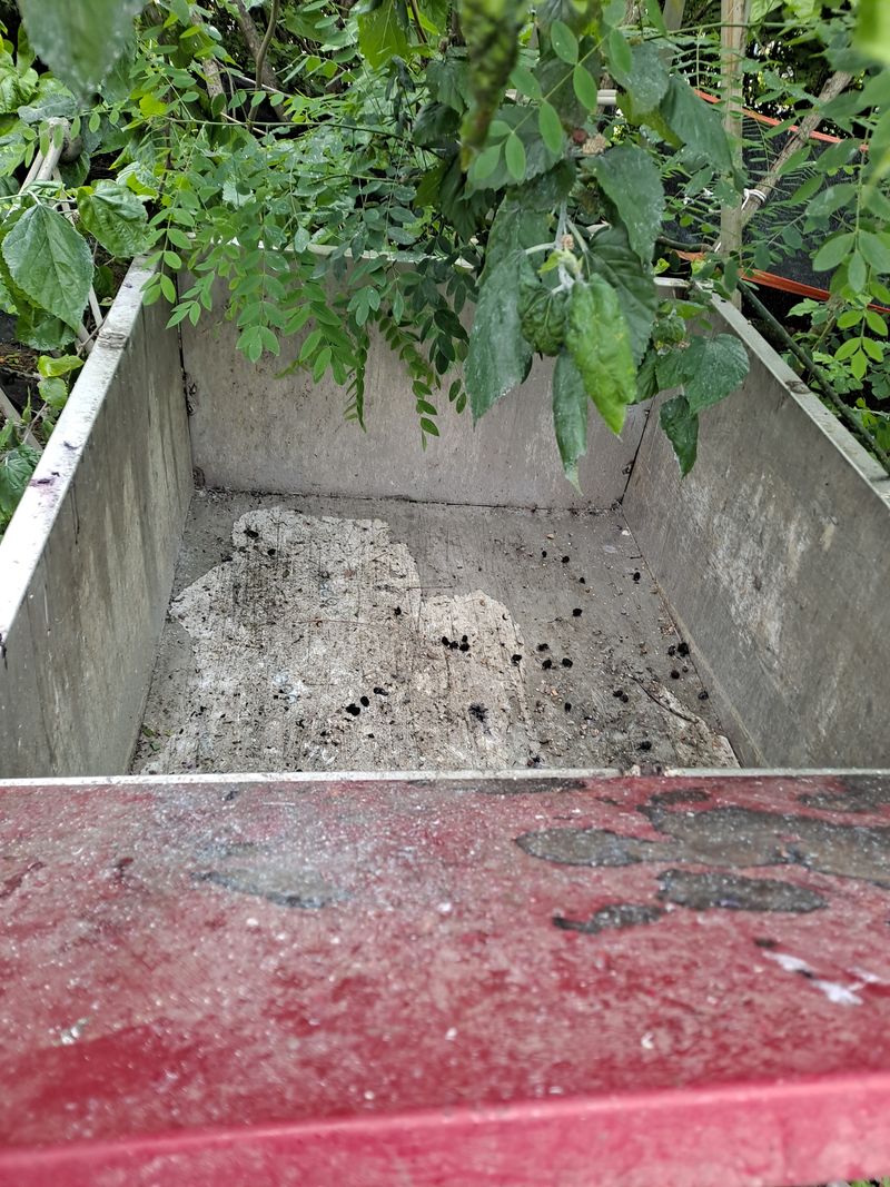 이종하님의 장터 판매 상품 [운반차] 첨부 사진