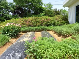 양보양님의 자유주제 · 사진전 작성글 사진