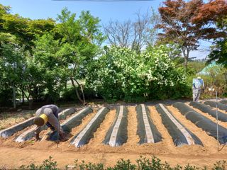 양보양님의 자유주제 · 사진전 작성글 사진