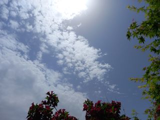 양보양님의 자유주제 · 사진전 작성글 사진