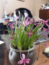 팜모닝 우리동네·동네수다 게시글 이미지