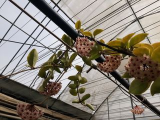 장흥엘림농원의배달기님의 우리동네 · 동네수다 작성글 사진