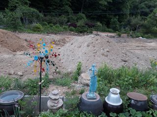 장흥엘림농원의배달기님의 우리동네 · 동네수다 작성글 사진