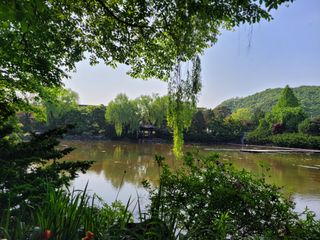 장흥엘림농원의배달기님의 우리동네 · 동네수다 작성글 사진