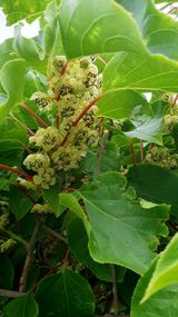 팜모닝 자유주제·자유게시판 게시글 이미지