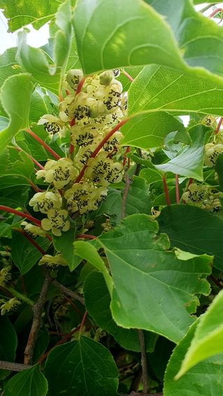 박¿일님의 자유주제 · 자유게시판 작성글 사진