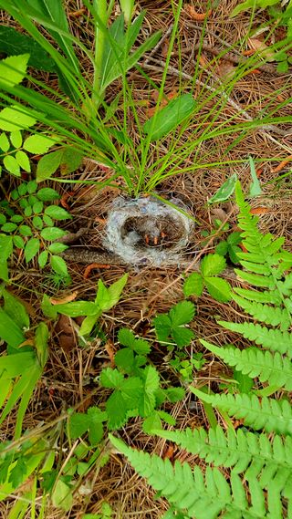 박¿일님의 자유주제 · 자유게시판 작성글 사진