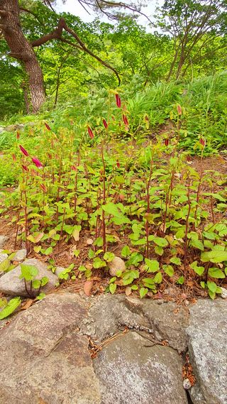 박¿일님의 자유주제 · 자유게시판 작성글 사진