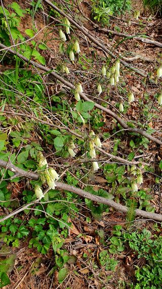 박¿일님의 자유주제 · 자유게시판 작성글 사진
