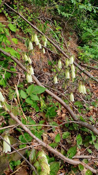 박¿일님의 자유주제 · 자유게시판 작성글 사진