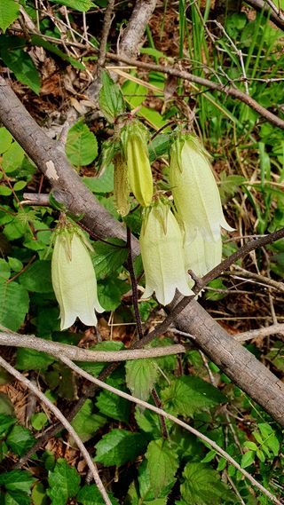 박¿일님의 자유주제 · 자유게시판 작성글 사진